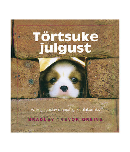 Törtsuke julgust: väike julgustav raamat igaks olukorraks