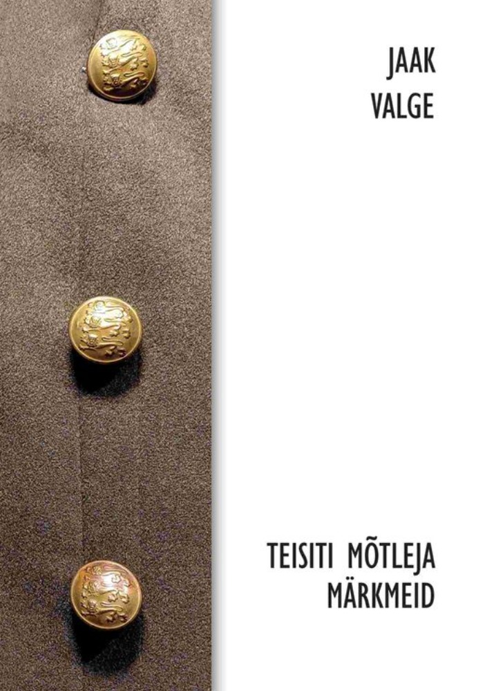 Teisiti mõtleja märkmeid