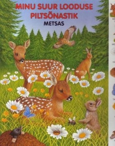 Minu suur looduse piltsõnastik : metsas