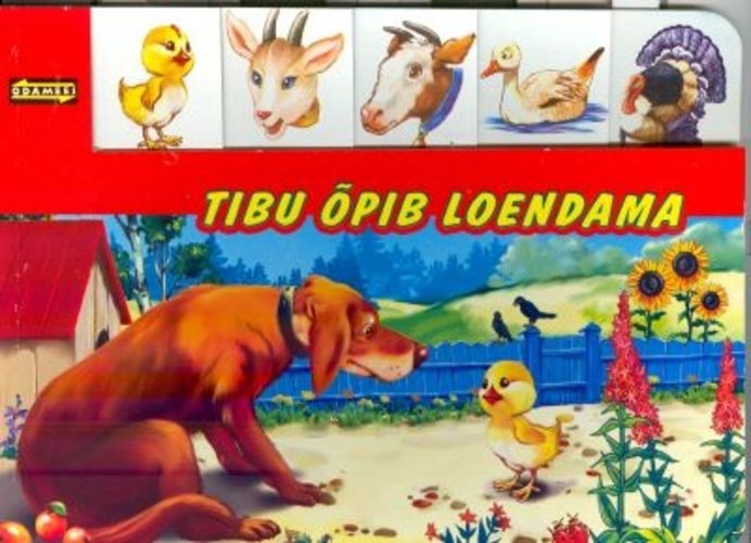 Tibu õpib loendama