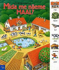 Mida me näeme maal?