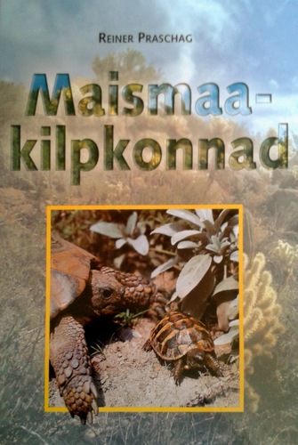 Maismaakilpkonnad