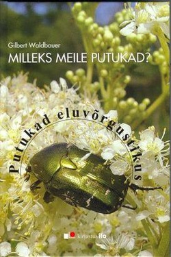 Milleks meile putukad?