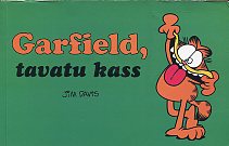 Garfield, tavatu kass