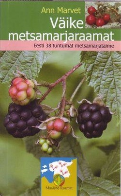 Väike metsamarjaraamat