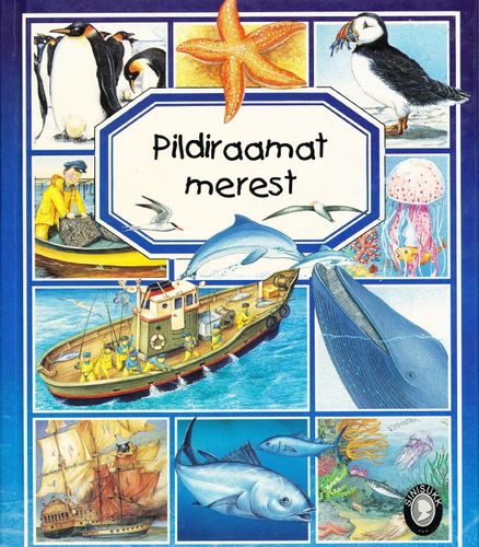 Pildiraamat merest