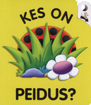 Kes on peidus?