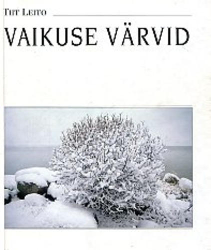 Vaikuse värvid