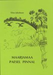 Maarjamaa paesel pinnal