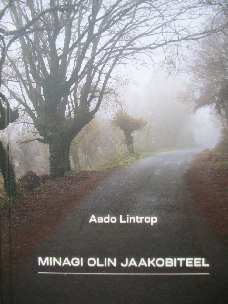 Minagi olin Jaakobiteel