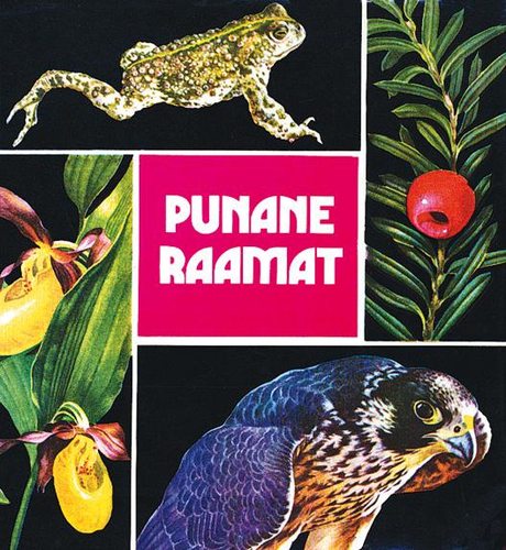 Punane raamat