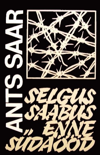 Selgus saabus enne südaööd