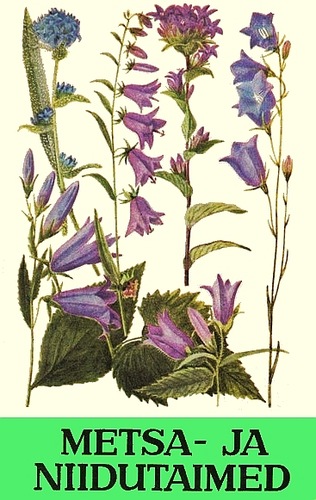 Metsa- ja niidutaimed