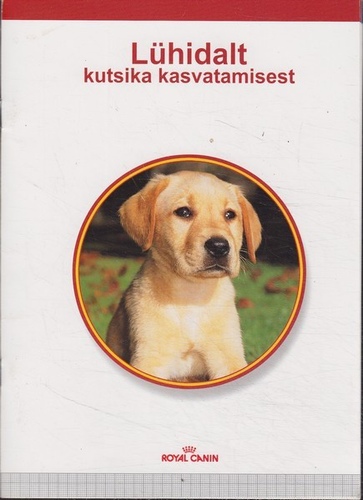 Lühidalt kutsika kasvatamisest