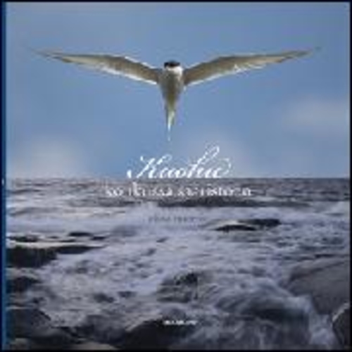 Kuohu : koukussa saaristoon