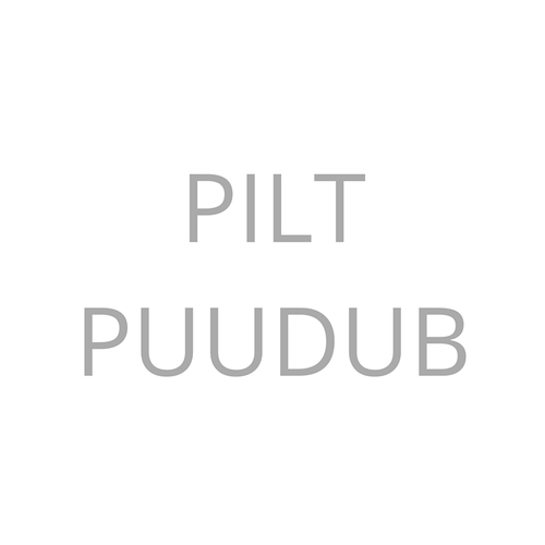 Korrektsed töösuhted 2006. Personalitöötaja käsiraamat