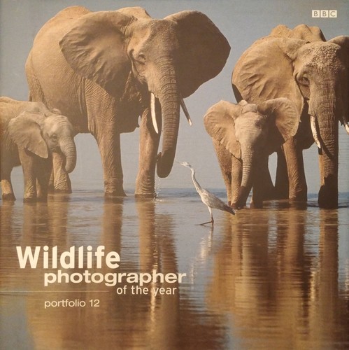 Wildlife photographer of the year. Portfolio 12