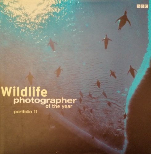 Wildlife photographer of the year. Portfolio 11