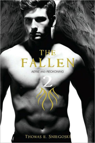 Aerie and Reckoning (The Fallen 2)