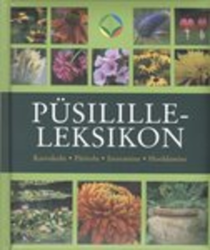 Püsililleleksikon