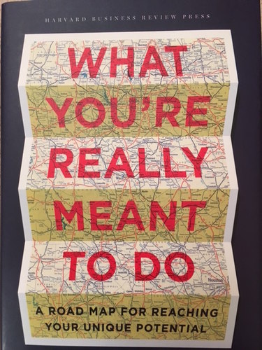 What Youŕe Really Meant To Do