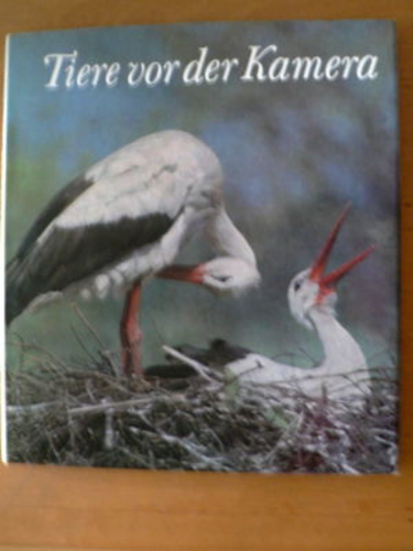 Tiere vor der KAMERA