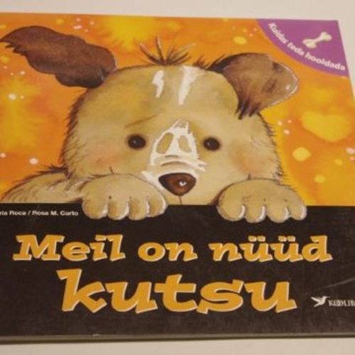 Meil on nüüd kutsu