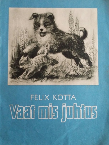 Vaat mis juhtus