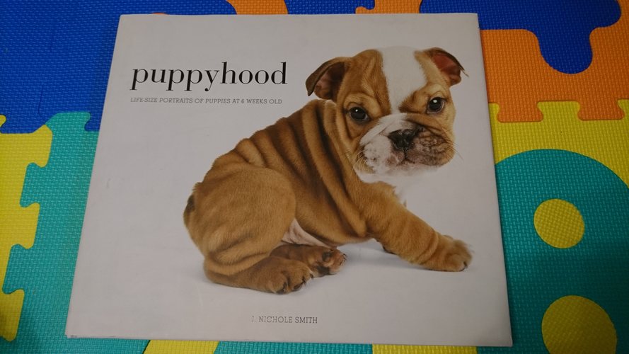 Puppyhood