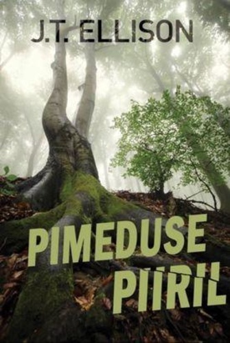 Pimeduse piiril