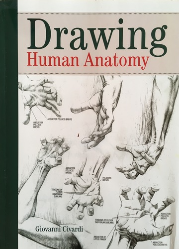 Drawing Human Anatomy