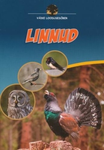 Väike loodusesõber. Linnud.