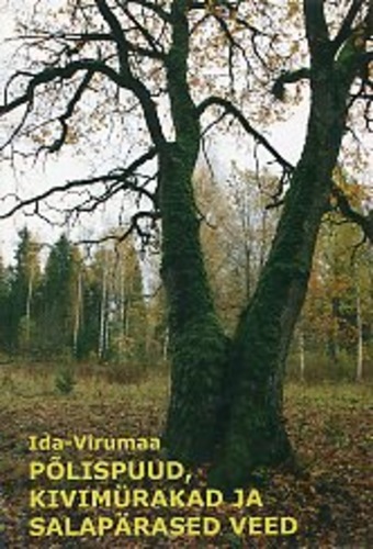 Ida-Virumaa põlispuud, kivimürakad ja salapärased veed