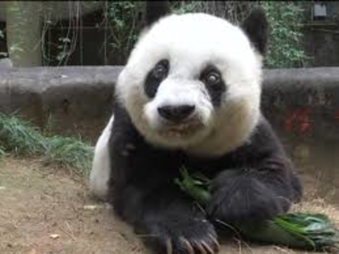 Maateadus 7. klassile 2. osa