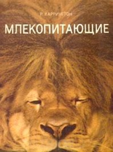 Млекопитающие