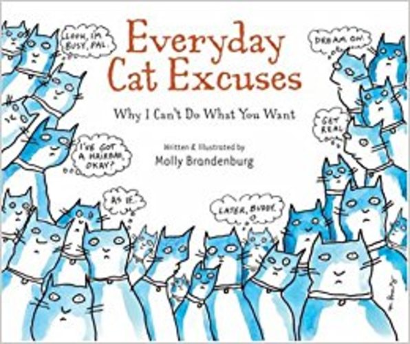 everyday cat excuses