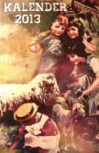 Raamatkalender 2013