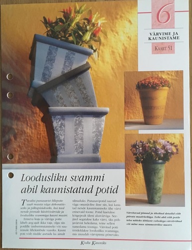 "Kodu kauniks" 6. kaart