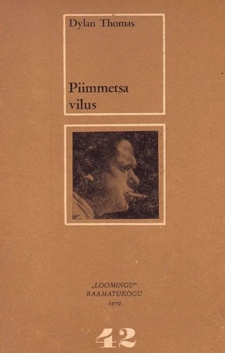 Piimmetsa vilus