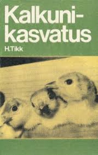 Kalkunikasvatus