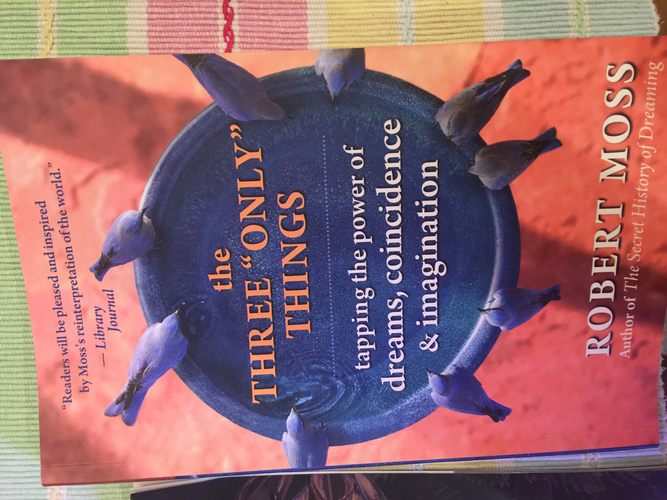 The three "only" things:tapping the power of dreams, coincidence & imagination