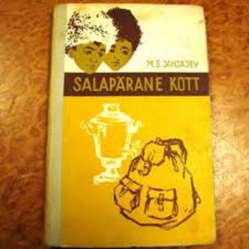Salapärane kott