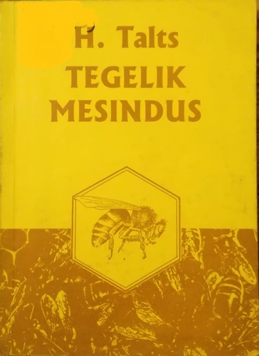 Tegelik mesindus