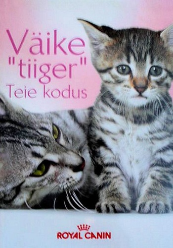 Väike "tiiger" teie kodus