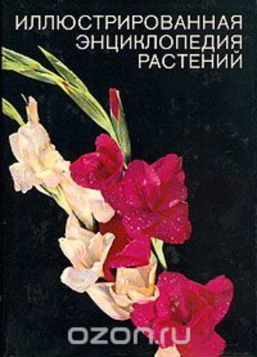 Иллюстрированная энциклопедия растений