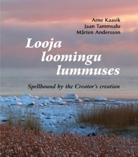 Looja loomingu lummuses