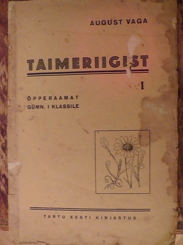Taimeriigist