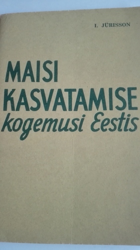 Maisi kasvatamise kogemusi Eestis