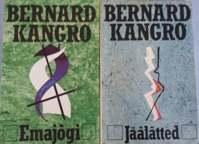 Jäälätted, Emajõgi