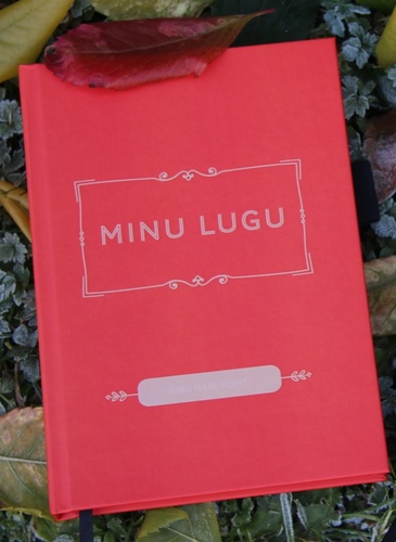 Minu lugu